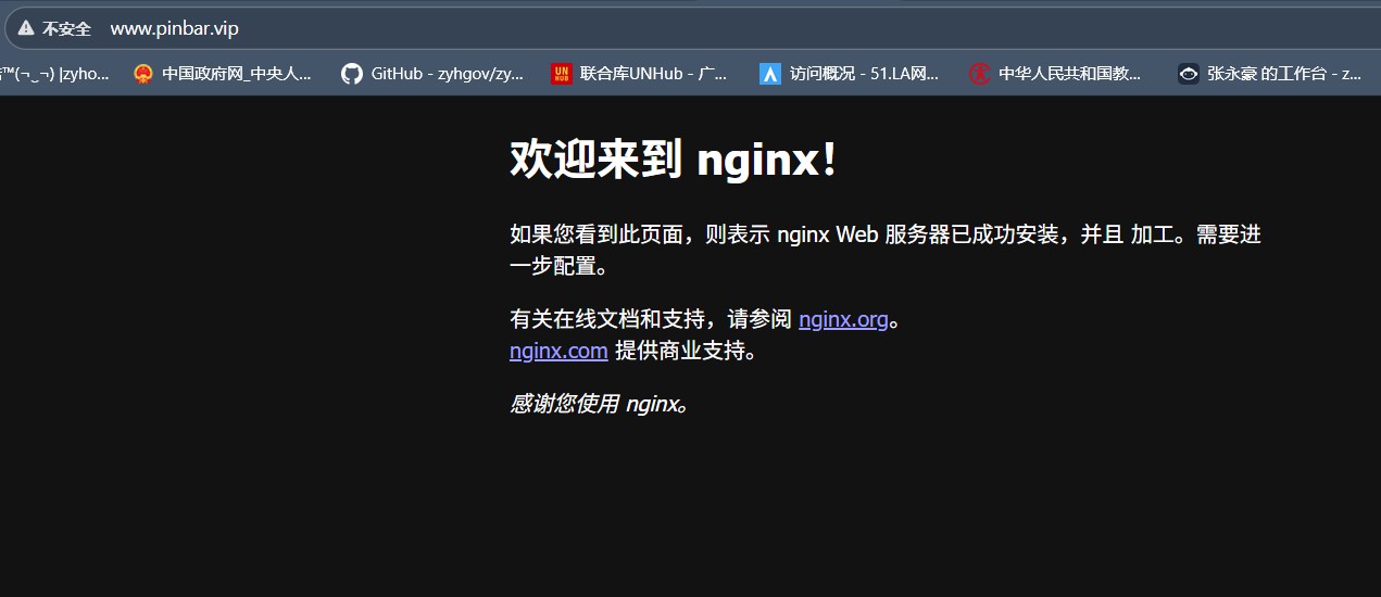 pinbar.vip网站nginx问题